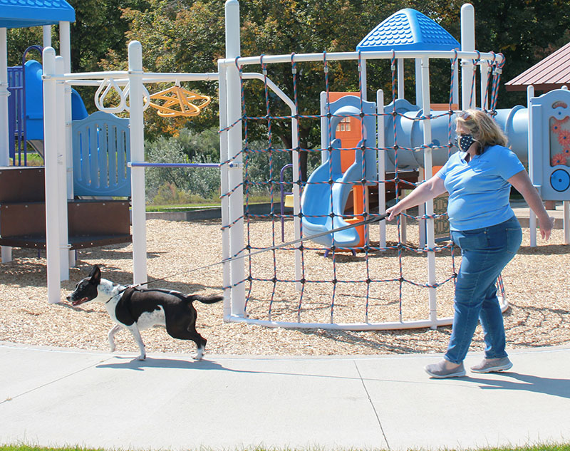 calling animal control on barking dog