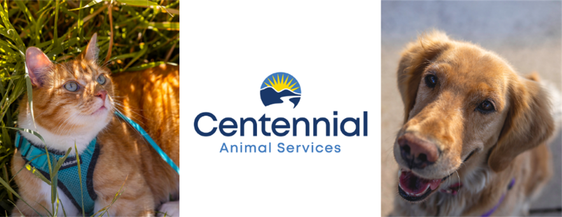 Centennial Animal Services